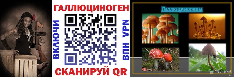 Галлюциногенные грибы Psilocybine cubensis  Инза 